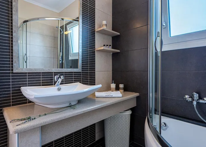 Armonia 里科索翁